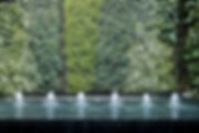 Water Feature AdobeStock_201344115.jpeg