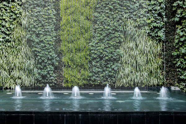 Water Feature AdobeStock_201344115.jpeg