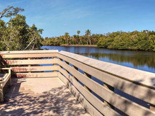 Exploring Rookery Bay in Naples, Florida: The Perfect Spot for Boaters and Fishing Enthusiasts