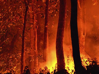 Vidéo de formation incendie FPI2S avec exercices pratiques et manipulation d’extincteurs en entreprise – Nouvelle-Aquitaine