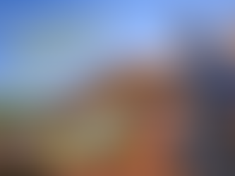 Technicien Habitat Projet en tenue d’entreprise nettoyant une toiture au printemps