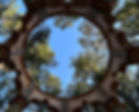IMG_3070.jpeg