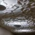 The finished result — fully restored 1927 ornamental plaster ceiling at The Waymark Hotel, Chattanooga, TN. From delaminated and damaged to landmark-worthy, by Dream Team Finishes