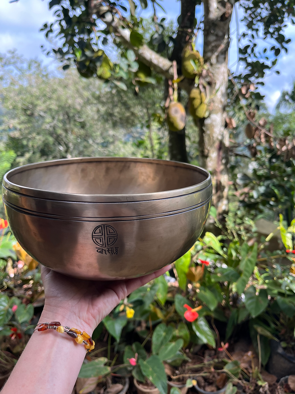 Reiki & Sound Bath  ~ pay what you can