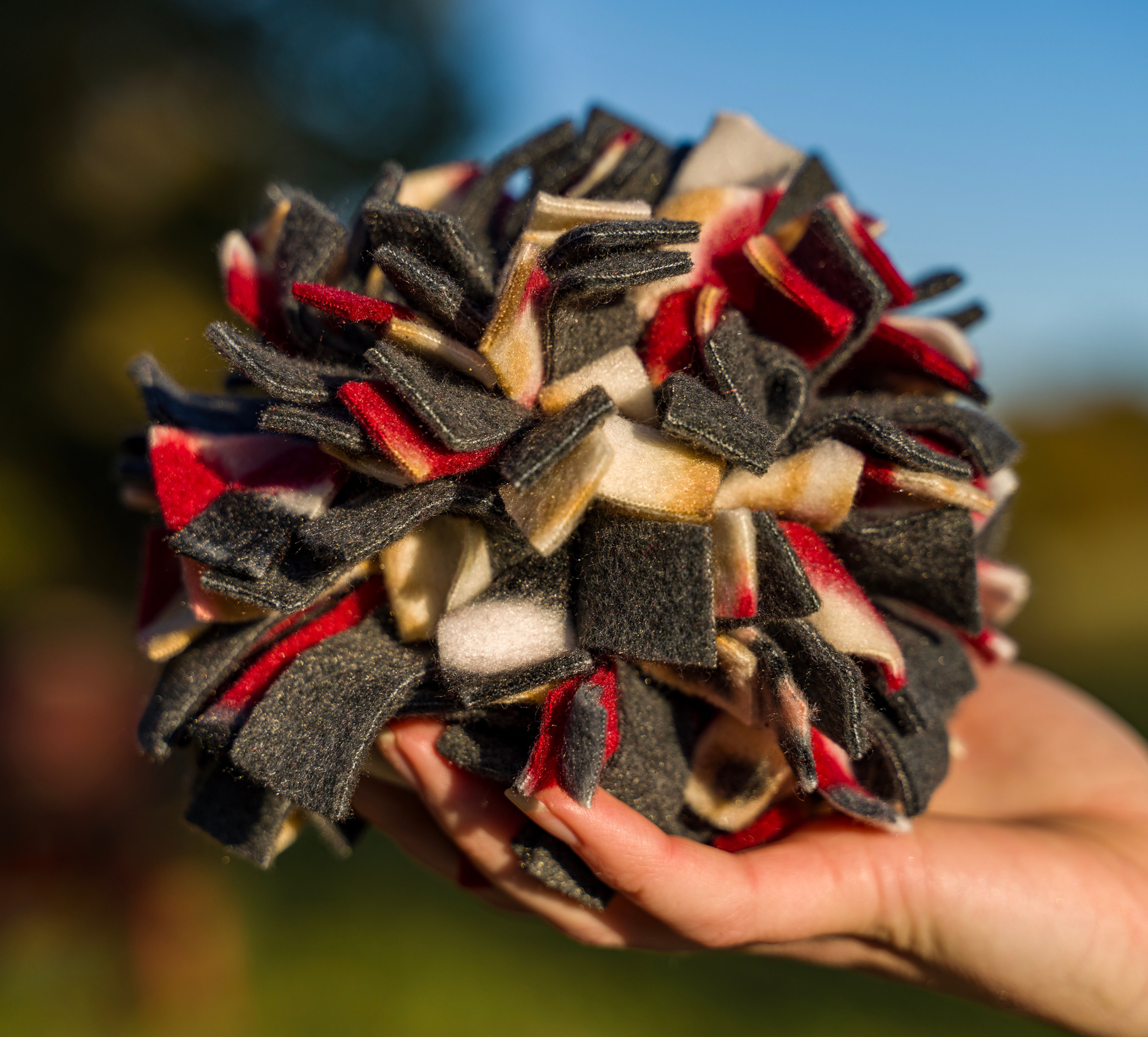 "Snuffle Ball" A Toy or Training Device for your Dog