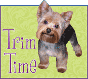 Zoom Groom Zoom Trim Time Package