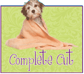 Zoom Groom Zoom Complete Cut Package