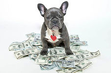 cash.jpg