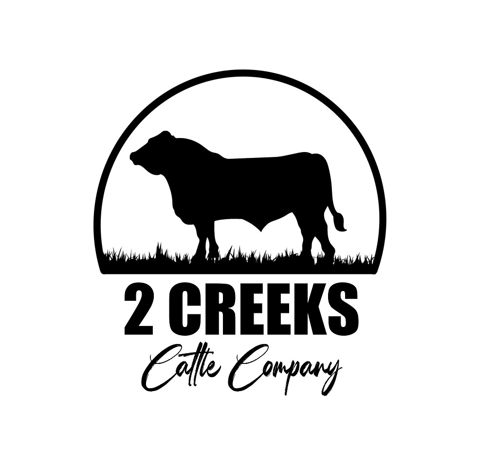 03.08.2025 Current Logo (Provided by Hannah Norwood).jpeg