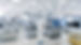 shutterstock_1268263639.jpg