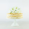 Tarte au citron