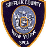 Man Killed in Motor Vehicle Crash
