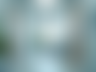 Atención geriátrica personalizada a domicilio en Bogotá