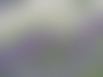 教うるは学ぶの半ばなり…?