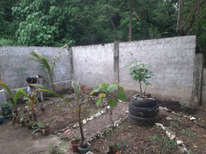 The Trauma Garden: Recovering from Multiple Crises