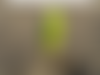 The Patience of Planting: Staying When It's Easier to Move On