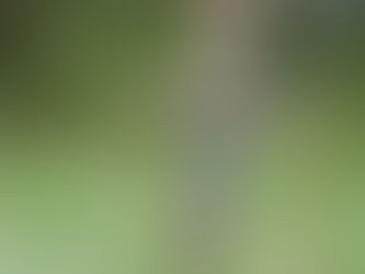 DROP YOUR SWORD: When it's OK to give up fighting