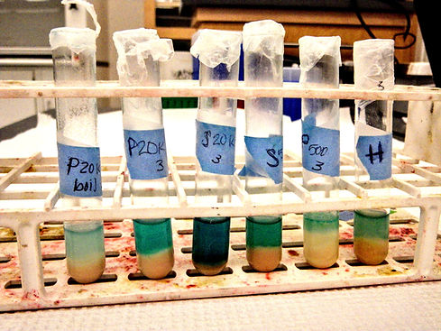 Biology Lab