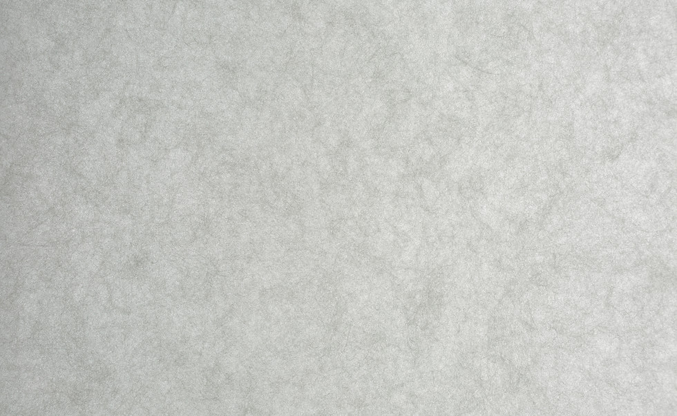 nonwoven filter media