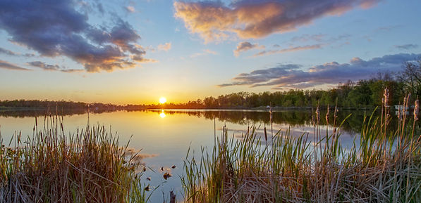 iStock-1149255502-scaled-e1593677315224.jpeg