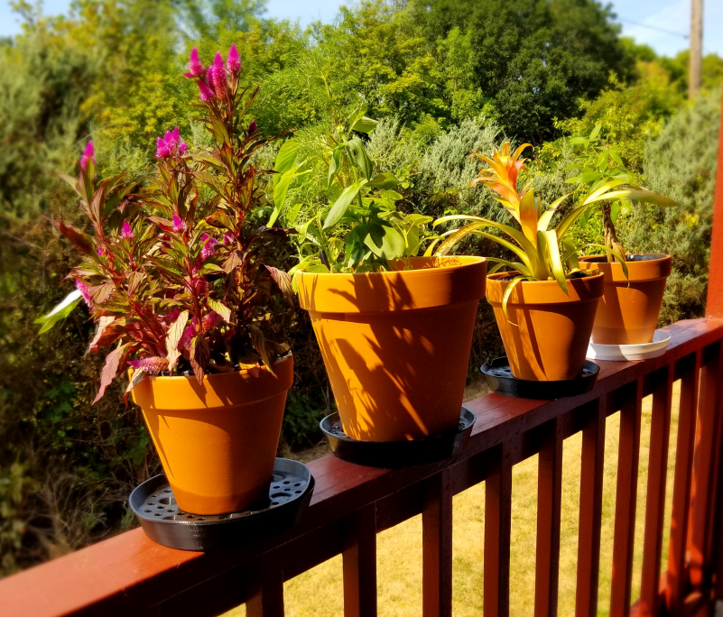 Flower Pot Drainage Trays (Front)