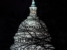 US Capitol at night with tree branches in front