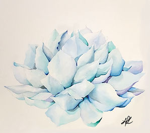 Blue_Agave.jpg