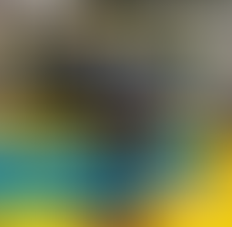 Show Notes 168: Kodiaq - Metal free electrolytes to power next gen battery tech