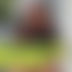 Show Notes 139: Unlocking Potential: The Journey of ivee and the Return-to-Work Revolution
