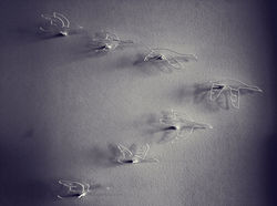 3D printed wire birds