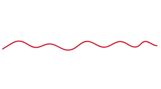 linea separa texto-04.png