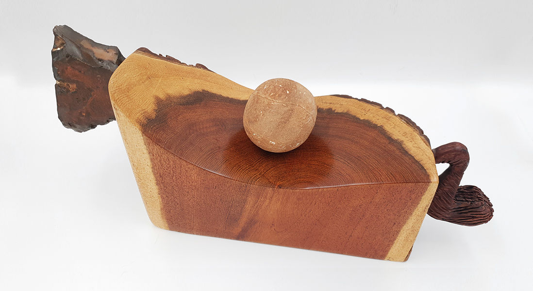 Tomer Hogen | Art of nature | Sculptures | wood | Stone | תומר הוגן | אומנות מדברית