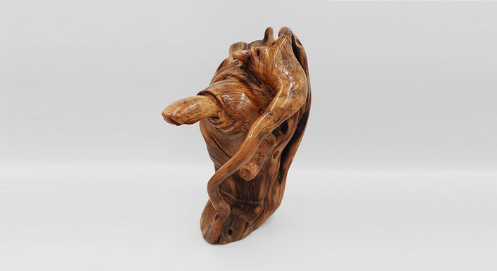 Tomer Hogen | Art of nature | Sculptures | wood | Stone | תומר הוגן | אומנות מדברית