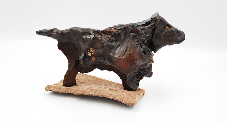 Tomer Hogen | Art of nature | Sculptures | wood | Stone | תומר הוגן | אומנות מדברית