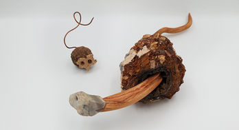 Tomer Hogen | Art of nature | Sculptures | wood | Stone | תומר הוגן | אומנות מדברית