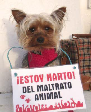 ¿Cómo denunciar...