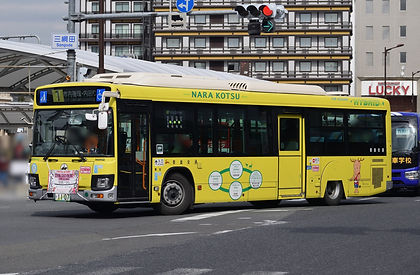 S__54697989.jpg