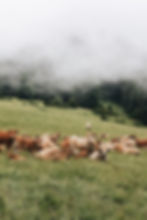 pexels-maël-balland-10807697.jpg