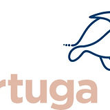 BernardLogo turtuga-turtle logo (1)_edit