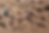 Untitled design 4.png.PNG