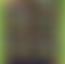 Fase Intermunicipal da 16ª edição do Concurso Nacional de Leitura.