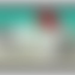 Alunos do 8º ano celebram 50 Anos do 25 de Abril