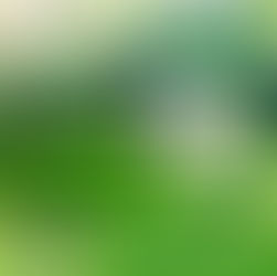 Projeto interdisciplinar “Viver numa Escola Mais Sustentável”.