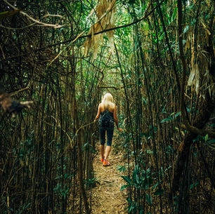 Dragon's Back to Chai Wan