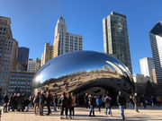 コロナ禍におけるノースウェスタン大学日本人研究者の会（NUJRA）の活動と今後の展望