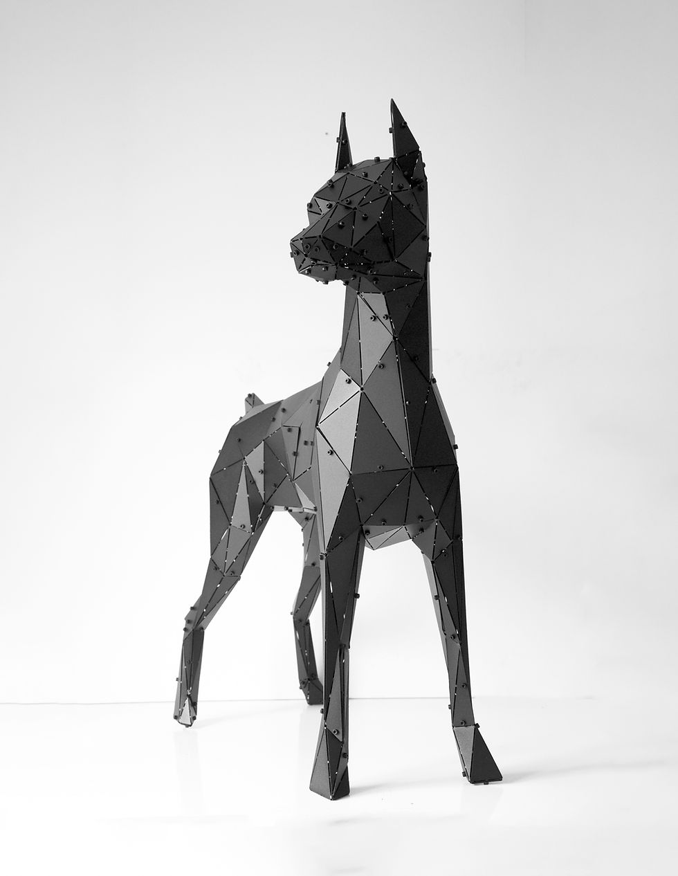 Küçük resim: Doberman XL