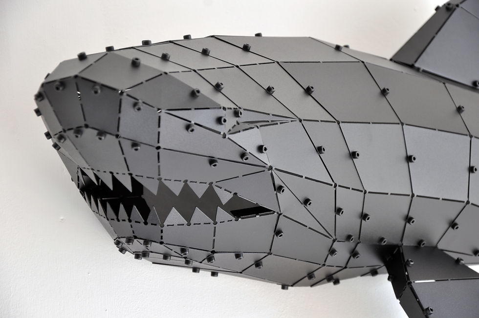 Küçük resim: Shark L
