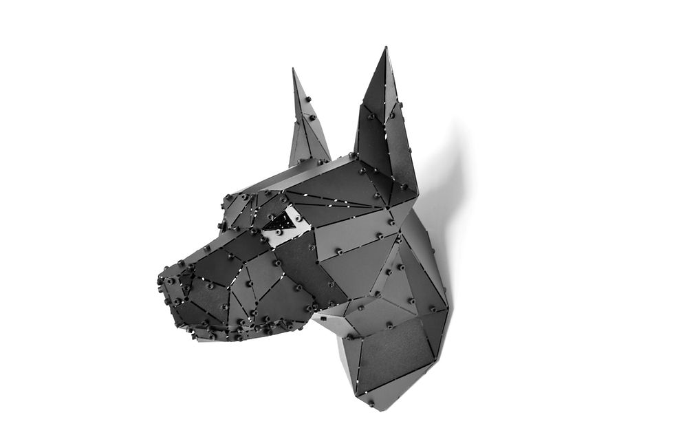 Küçük resim: Doberman Head