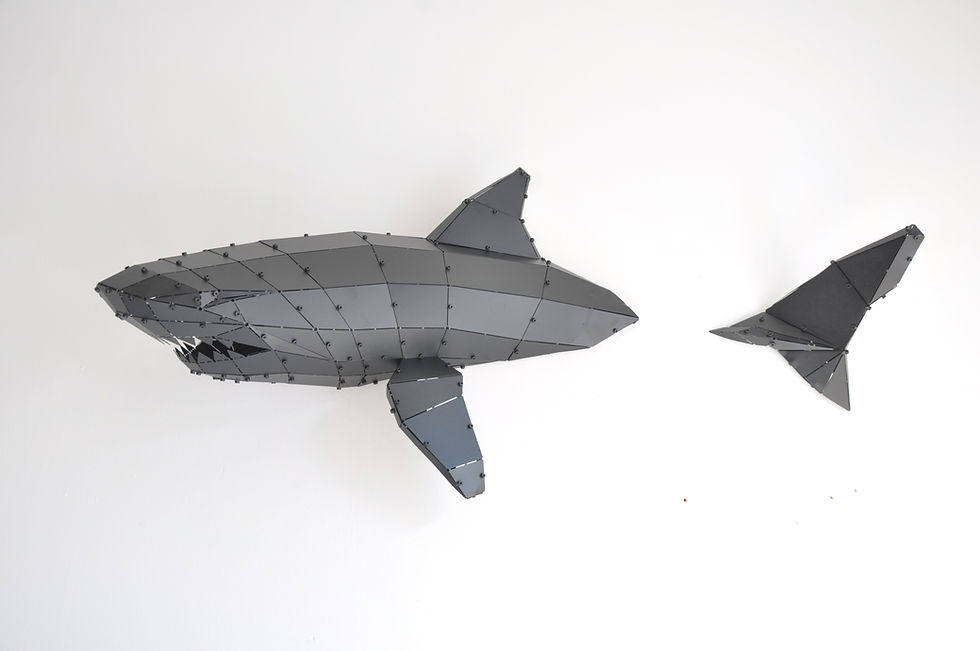 Küçük resim: Shark L