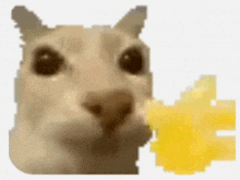 concac.gif